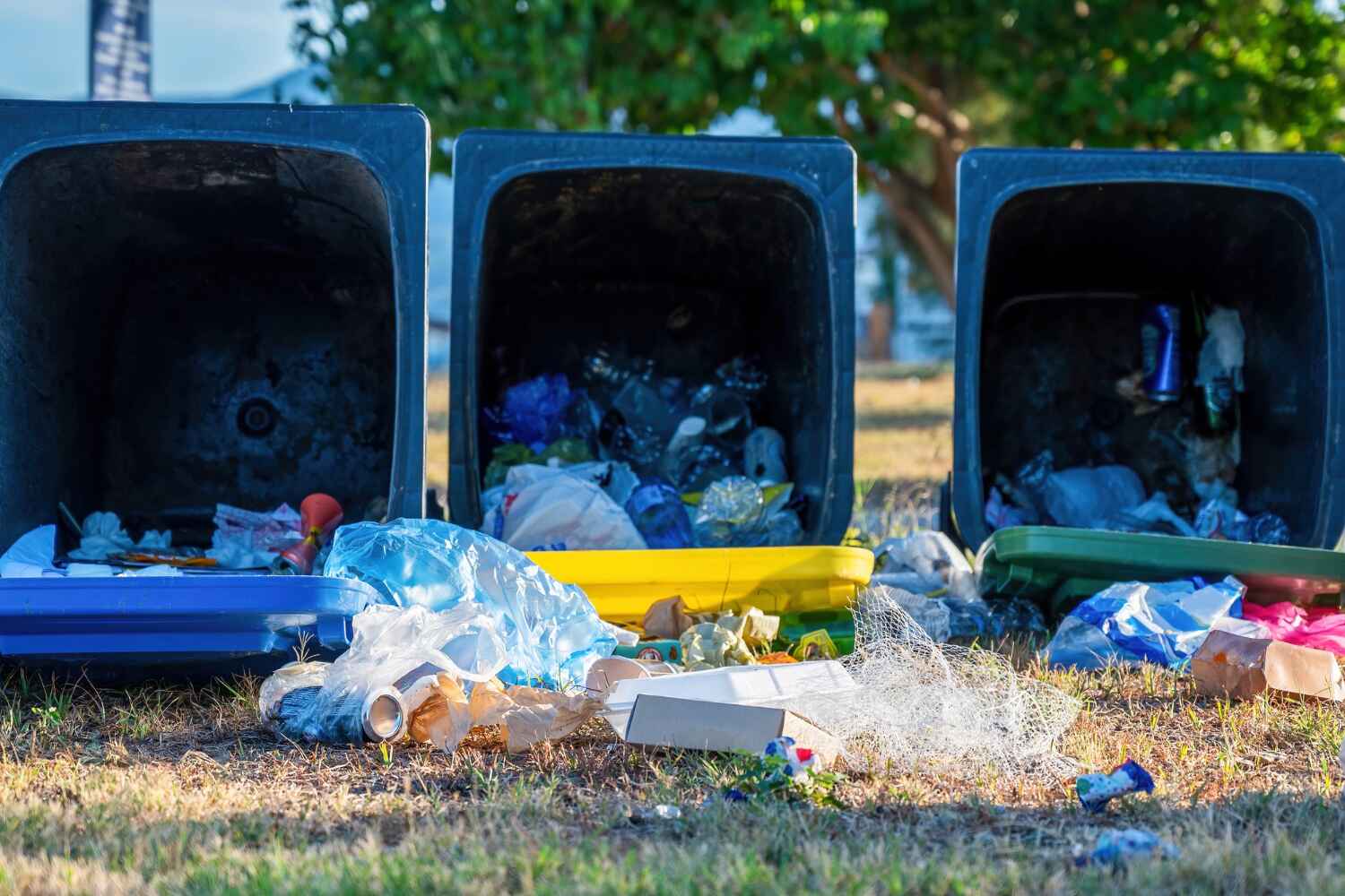 Trash Removal Near Me in Corning, CA